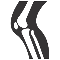 Knee